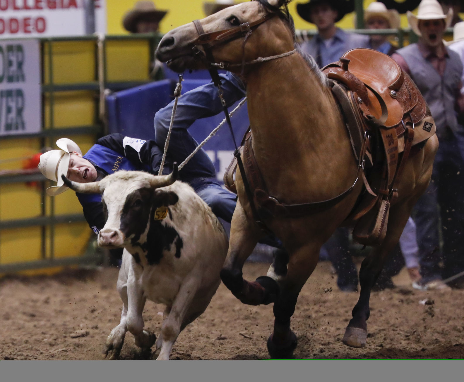 CNFR - Tuesday